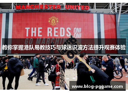 教你掌握港队易教技巧与球迷识波方法提升观赛体验