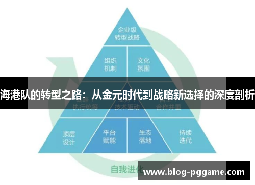海港队的转型之路：从金元时代到战略新选择的深度剖析