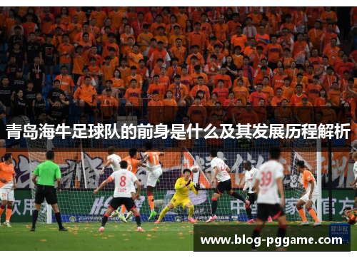 青岛海牛足球队的前身是什么及其发展历程解析